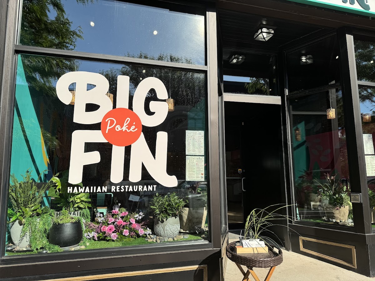 Big Fin Poké - Melrose